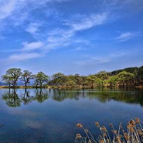 경산 관련 사진