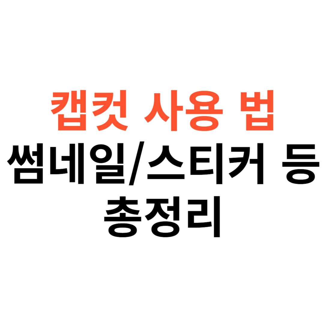 캡컷 사용 방법