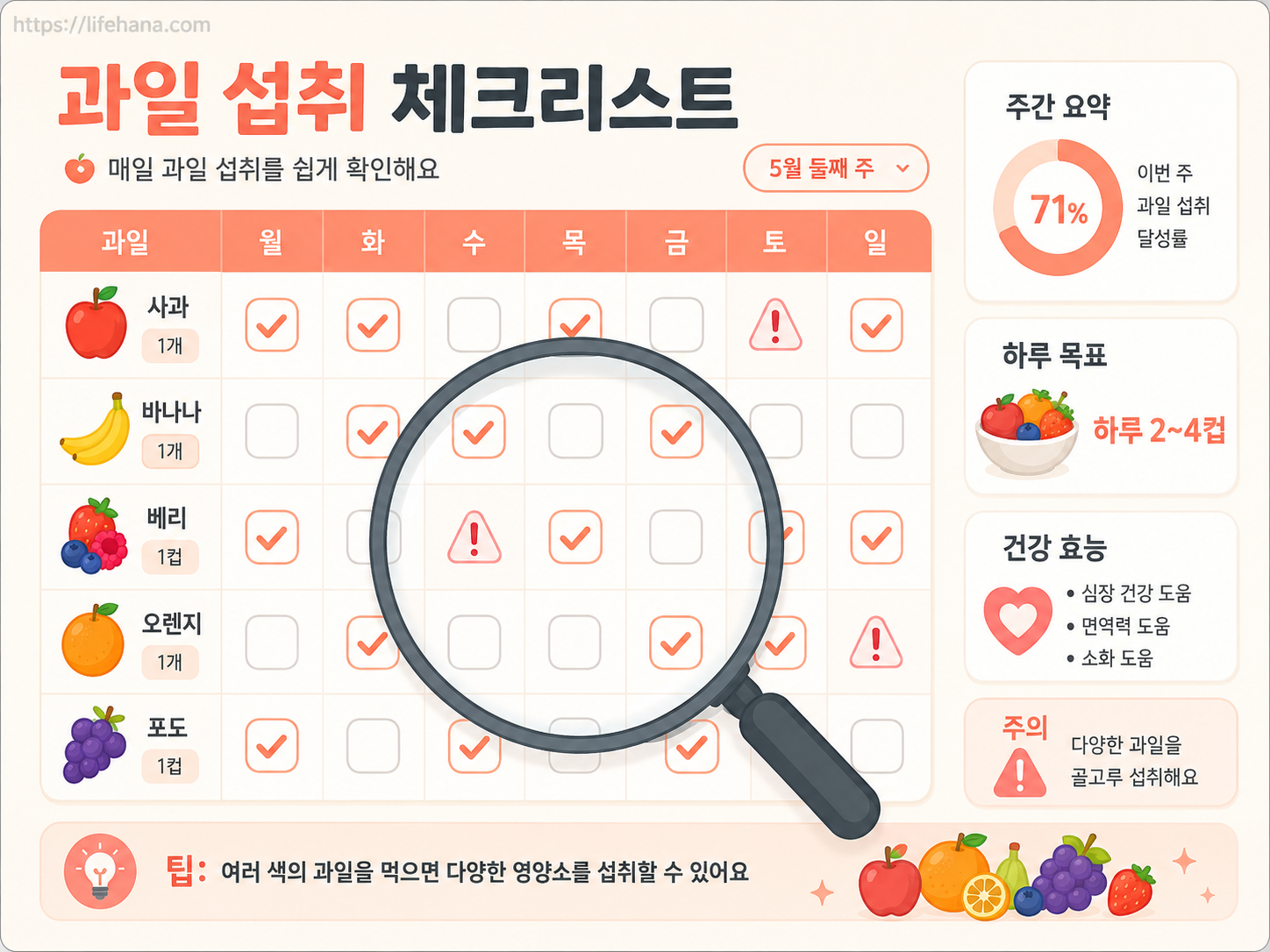 과일 섭취 전 주의사항을 확인하는 돋보기와 체크리스트 아이콘 이미지