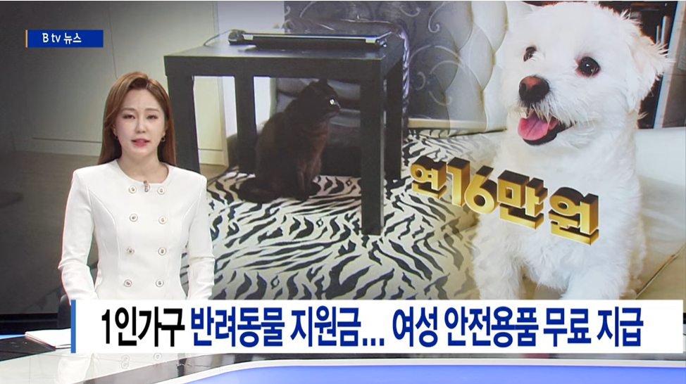 1인가구반려동물지원금신청