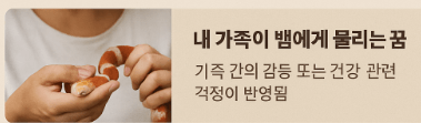 내 가족과 뱀 꿈풀이