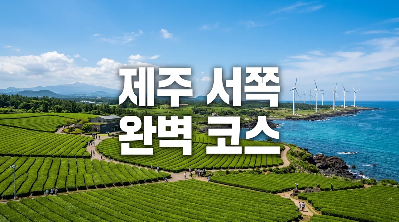2025 제주 서쪽 여행 코스: 오설록 티 뮤지엄 & 싱계물공원 완벽 가이드