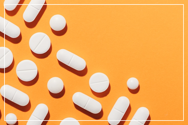 말라리아-에방약