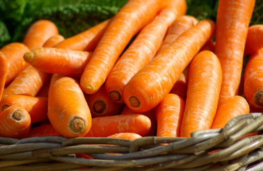 코울슬로 만들기