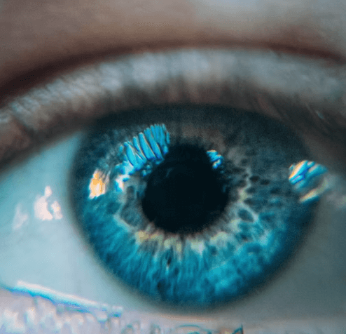 건강검진 대상자 조회 - 당뇨 환자