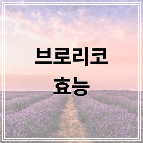 브로리코 효능