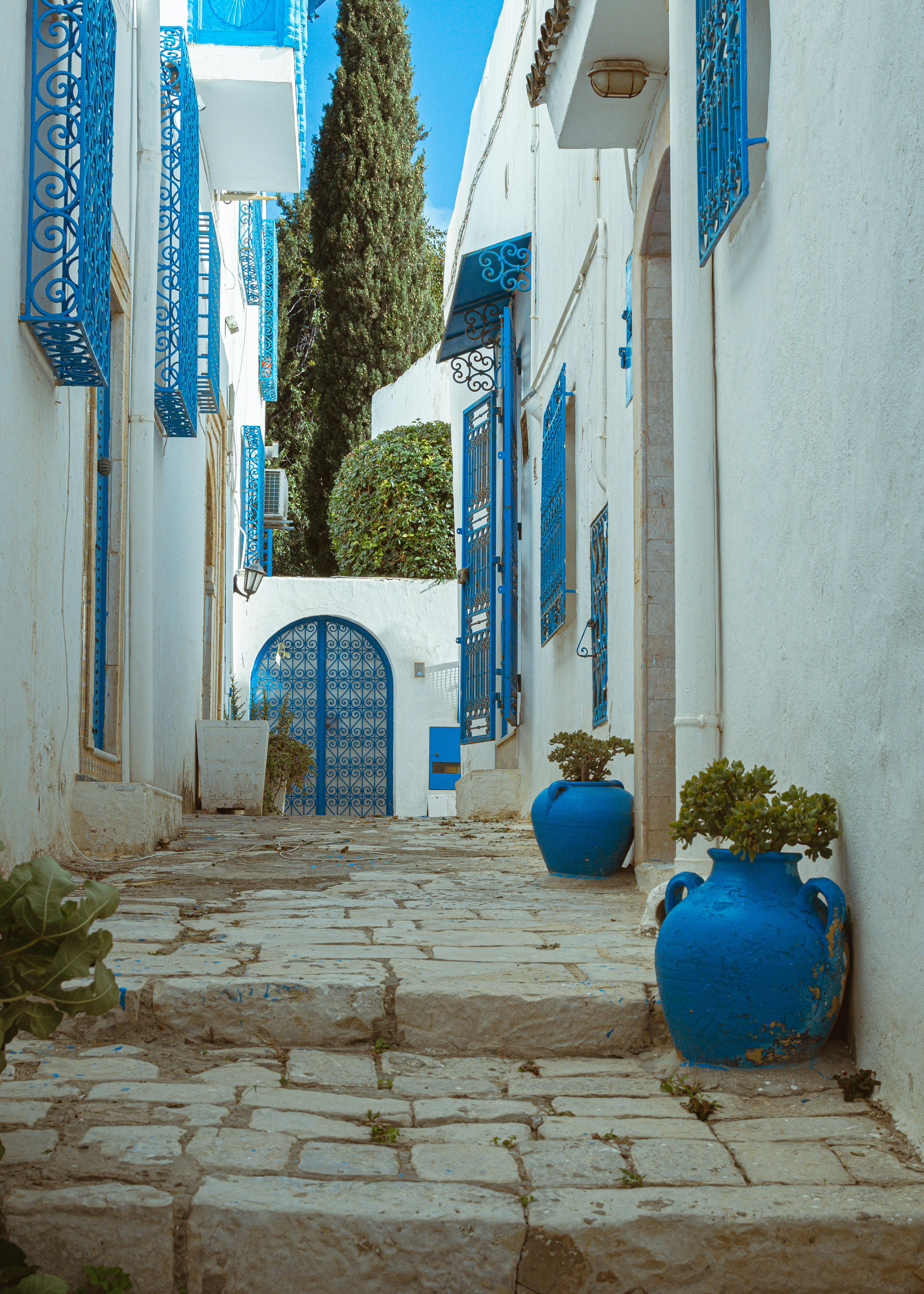 카르타고의-예쁜-거리