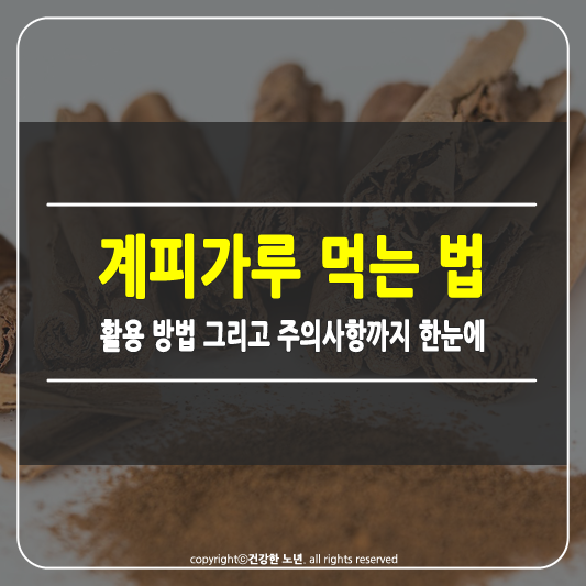 계피가루 먹는 법
