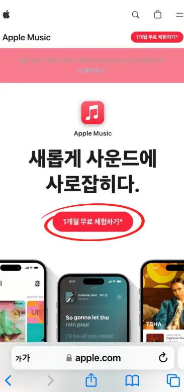 애플뮤직 Apple Music 6개월 무료
