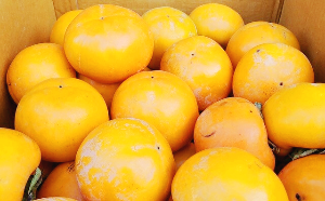 단감 효능, 부작용, 보관법 총정리