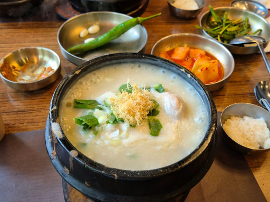 오늘N 식큐멘터리 3대째 잣삼계탕 서초구 맛집
