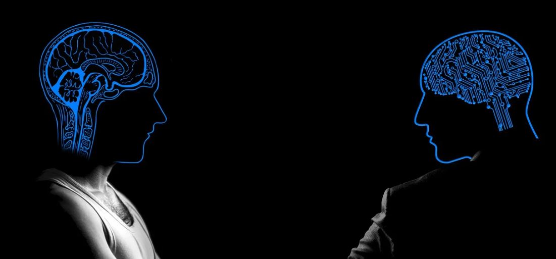 두뇌 건강을 위한 음식과 활동 추천