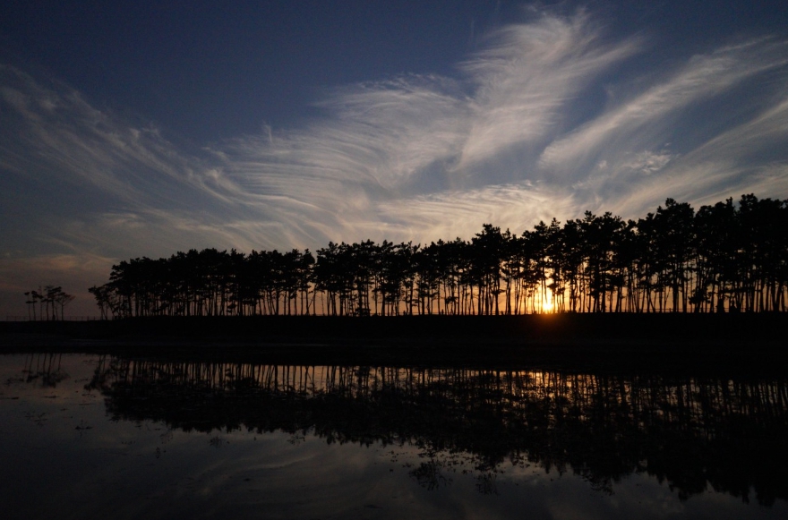 태안 여행지 추천