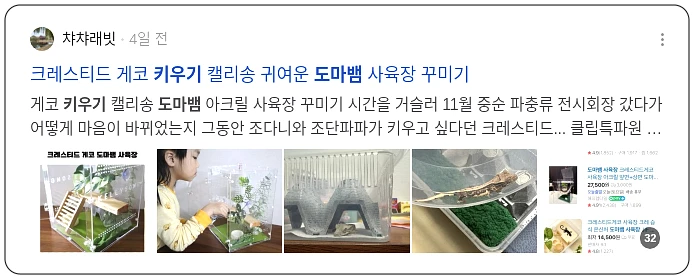 도마뱀 키우기 포인트_2_subsection