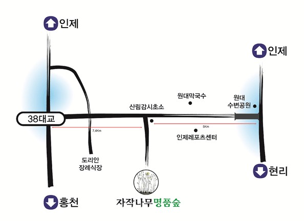 인제 자작나무 숲 가는길