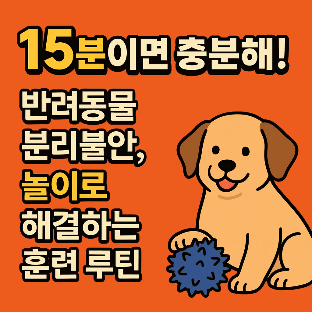 “15분이면 충분해!” – 반려동물 분리불안, 놀이로 해결하는 훈련 루틴