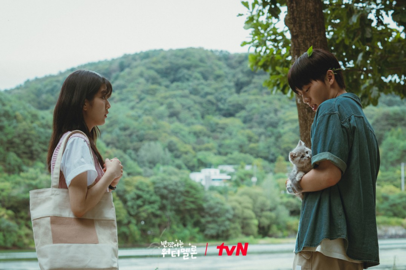 반짝이는-워터멜론-스틸컷17