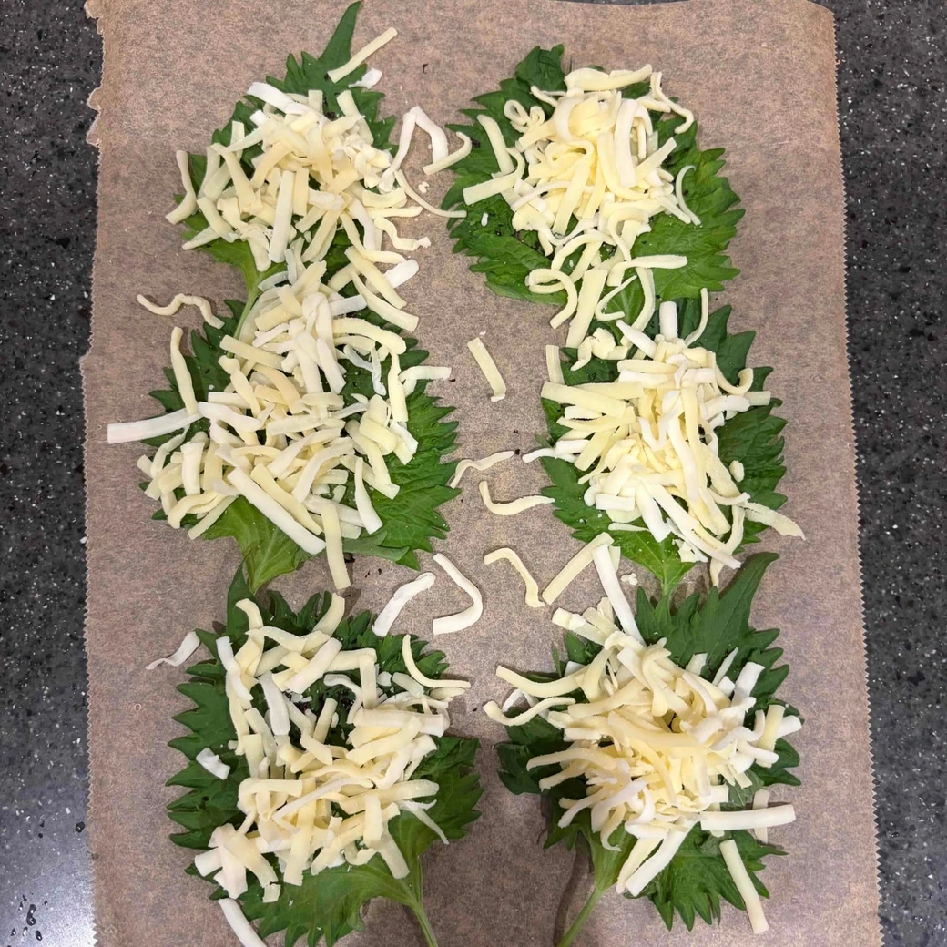 그 위에 피자용 치즈를 올린다.