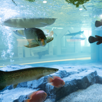 부산 명지 아쿠아 키즈카페 아쿠아플레이하우스