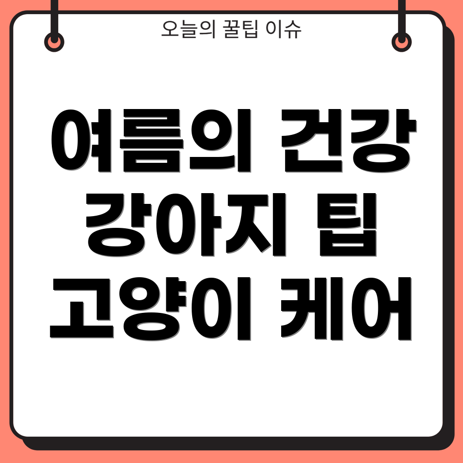 여름철 건강