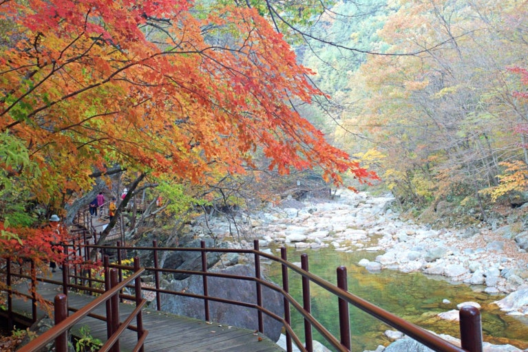 지리산 노고단 예약 방법