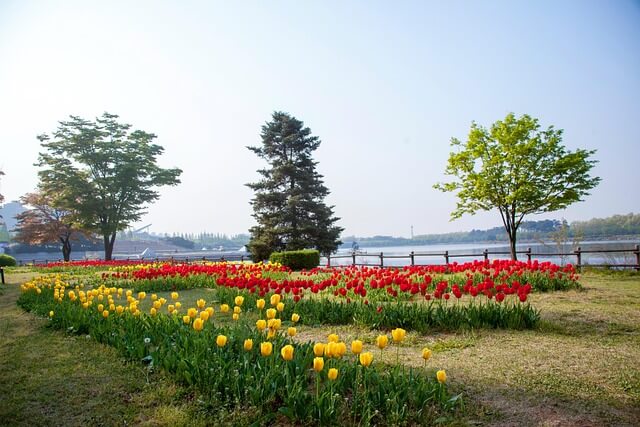 고양국제꽃박람회 2025! 일산 호수공원 개막일&middot;입장료&middot;주차 총정리