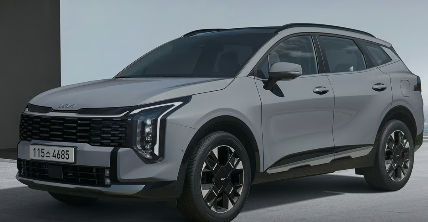 25년 12월 자동차 판매량 순위