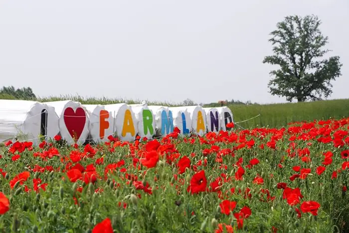 안성팜랜드-입장료-승마센터-파라다이스독-요금