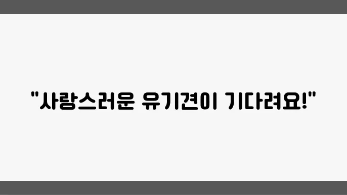 유기견보호소 귀엽고 사랑스러운 함평유기견보호소