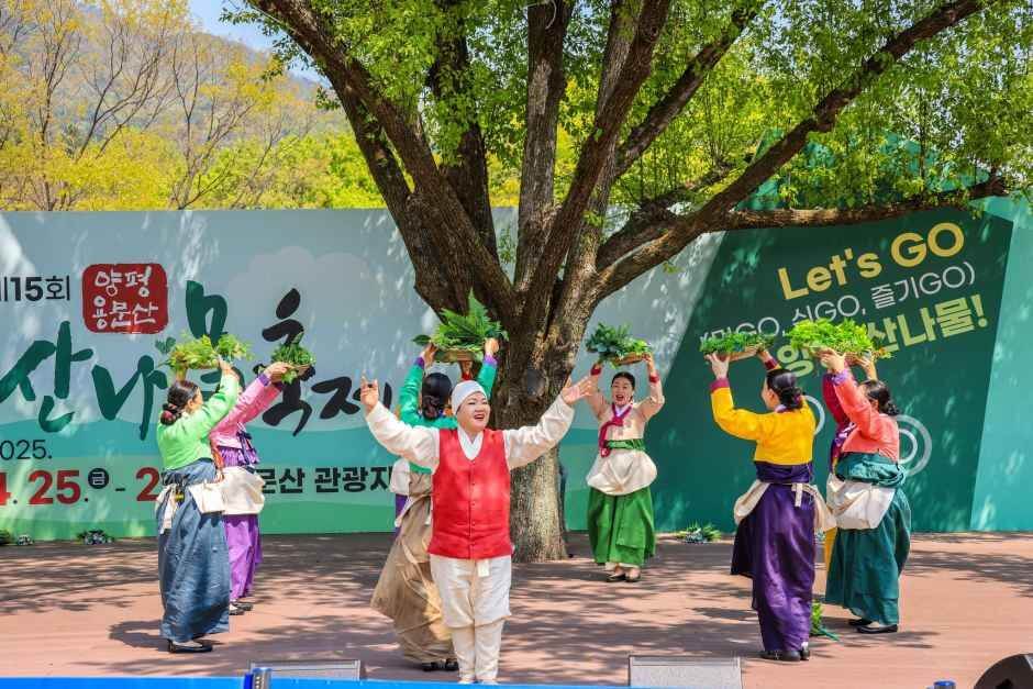 양평 용문산 산나물축제 2026 완벽 가이드