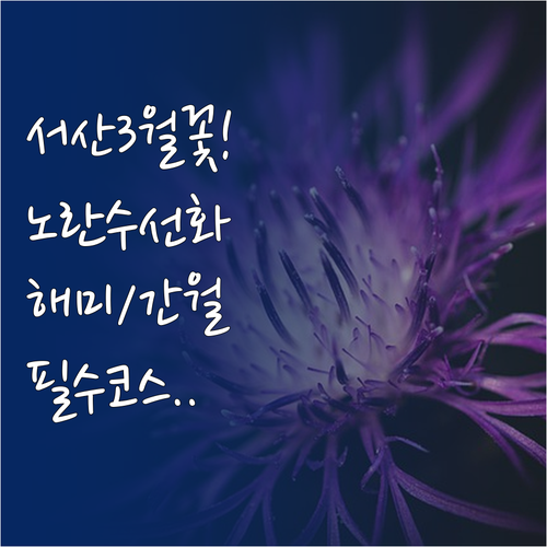 서산 3월 여행지 추천 유기방가옥 해..