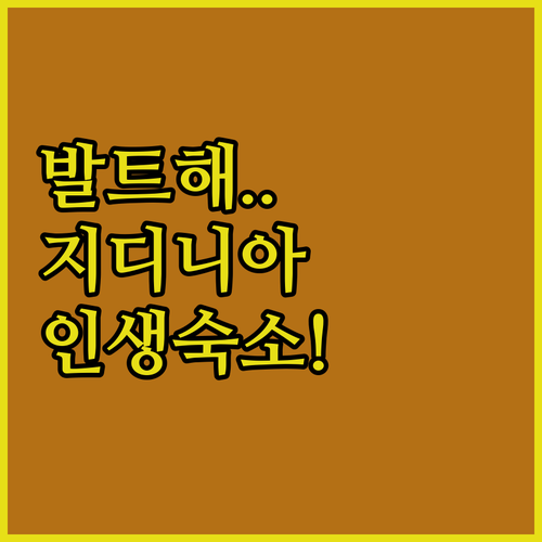 폴란드 지디니아 숙소 베스트 5 여행..
