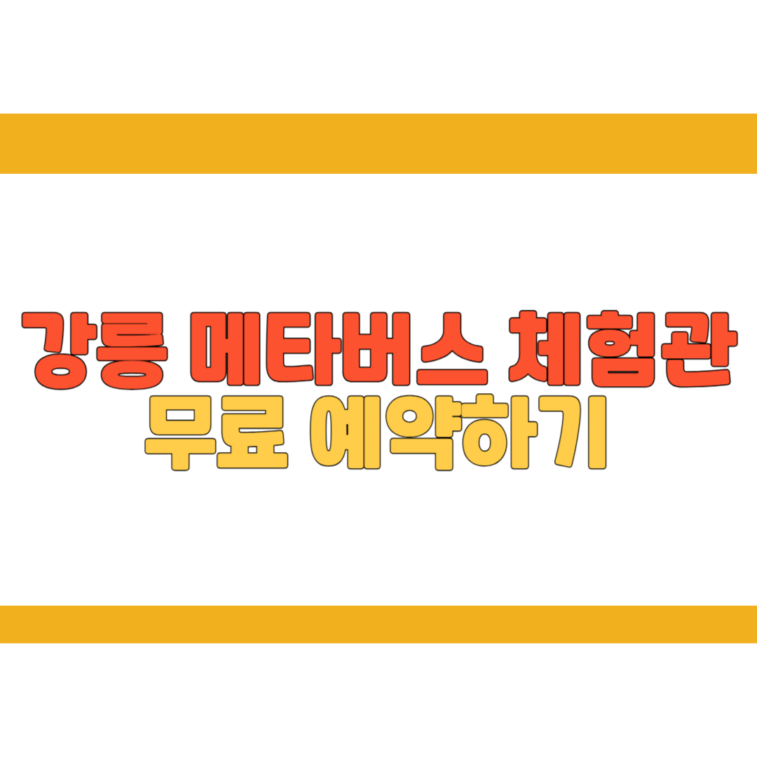 강릉 메타버스 체험관