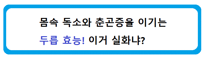 두릅효능