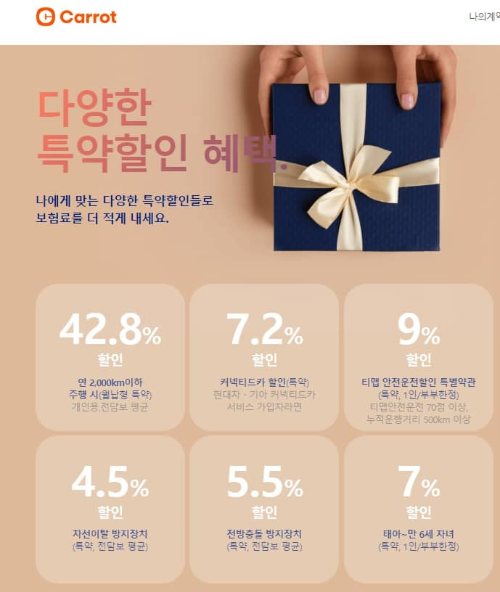캐롯손해보험 퍼마일 자동차보험 이미지
