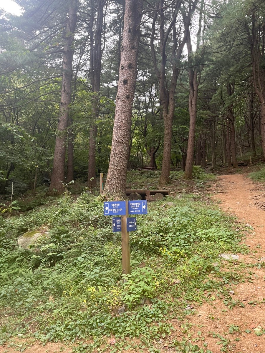 축령산자연휴양림