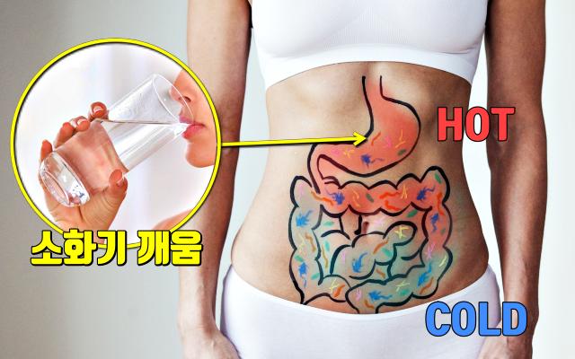아침 공복 물한컵 효능 소화불량