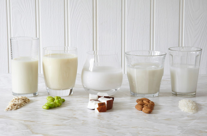 식물성 우유란?