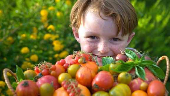 로컬 마케팅_지역 특산물