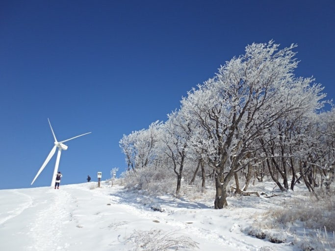 겨울 3주만 볼 수 있는 선자령 눈꽃 절경 트레킹 명소