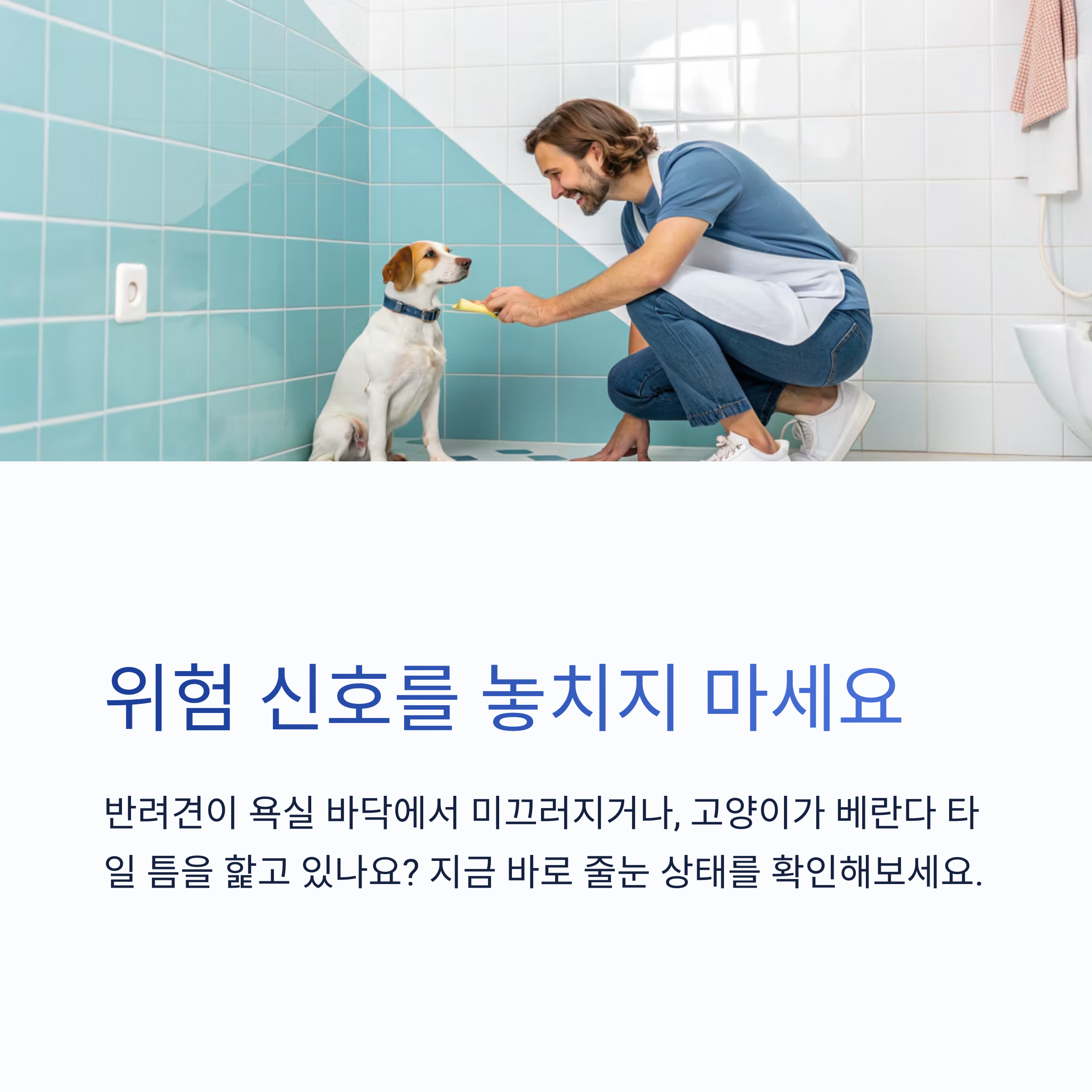 반려동물 있는 집, 줄눈 관리 꼭 필요한 이유