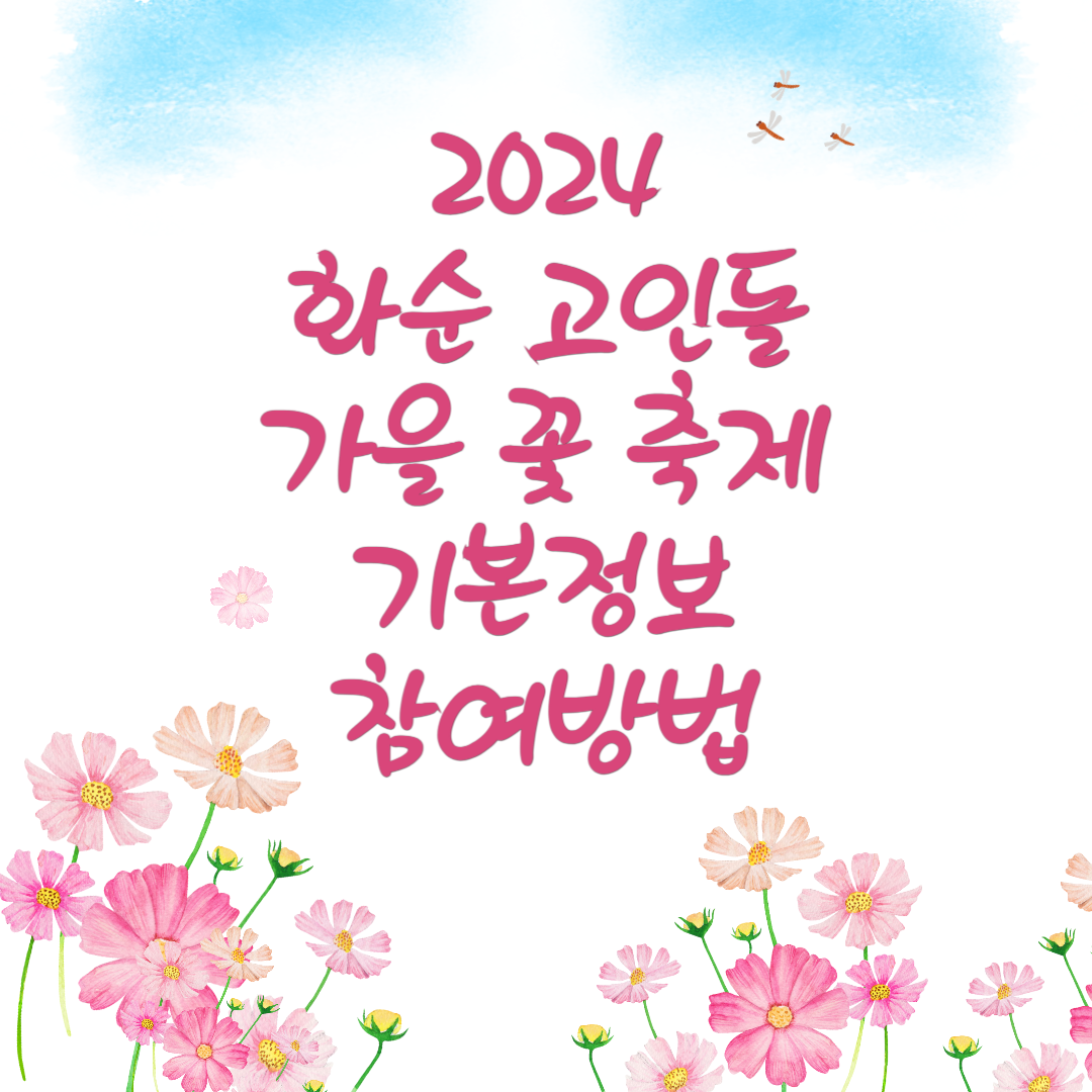 2024 화순 고인돌 가을꽃 축제 기본정보