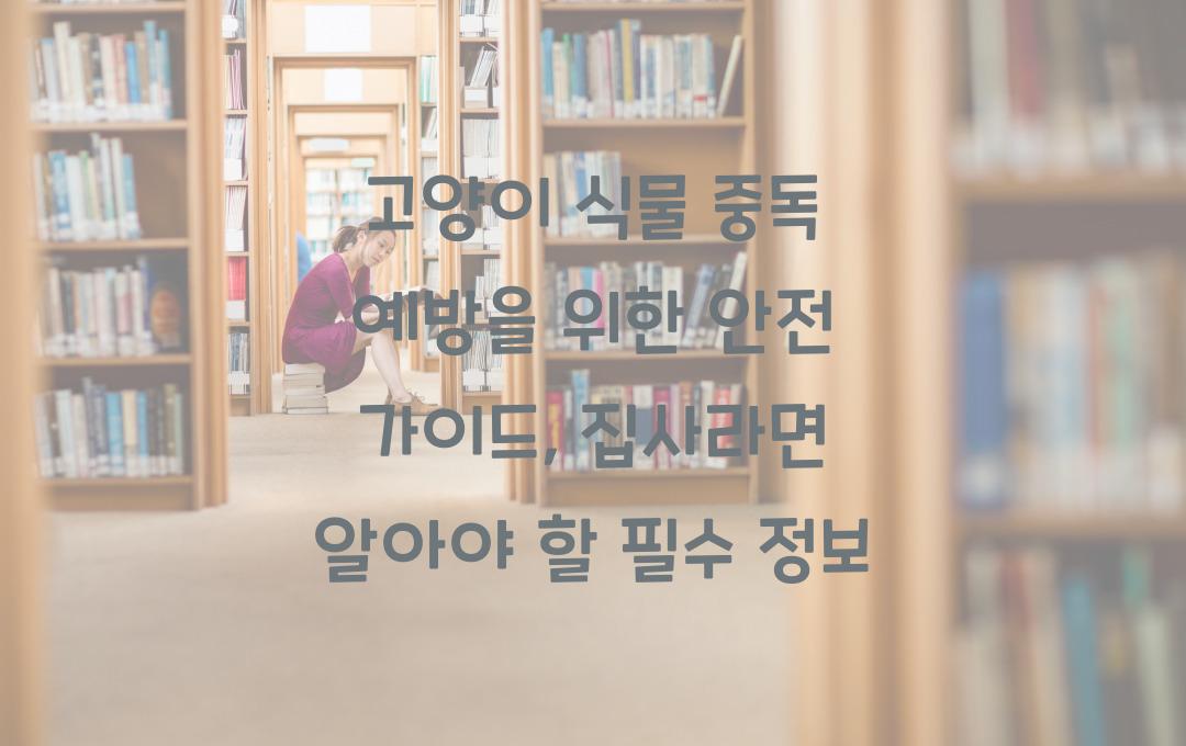 고양이 식물 중독 예방을 위한 안전 가이드