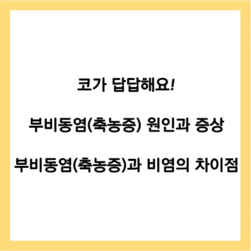 부비동염 증상