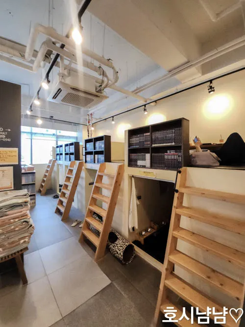 옥탑방 공간이 있는 하남 냥이툰 만화카페