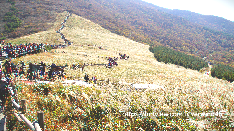 영남알프스 간월재의 가을