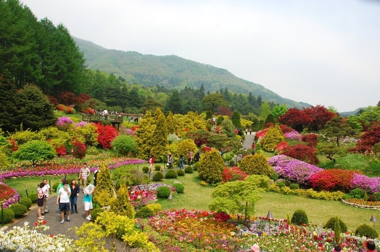가평 아침 고요수목원
