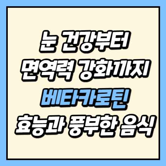 눈 건강부터 면역력 강화까지 베타카로틴 효능과 풍부한 음식