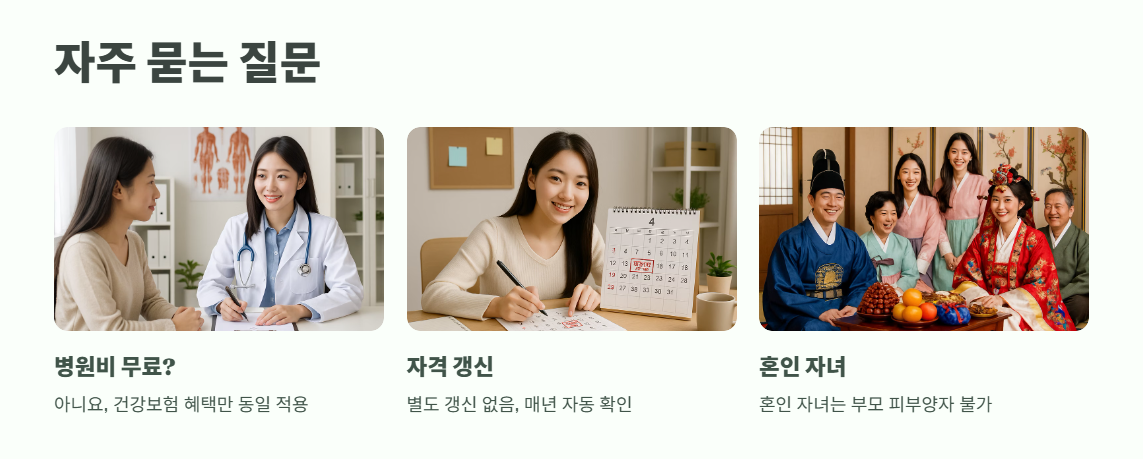 의료보험 피부양자 자격 간단 요약 14