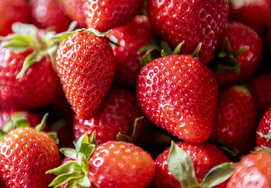 잘-익은-딸기-사진